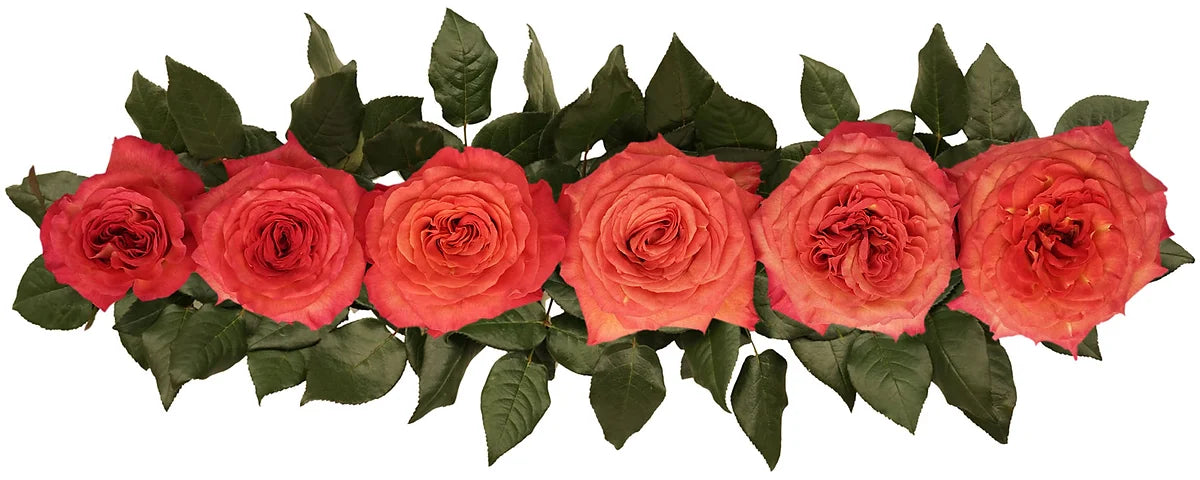 Sunset Celebration® Special Bouquet