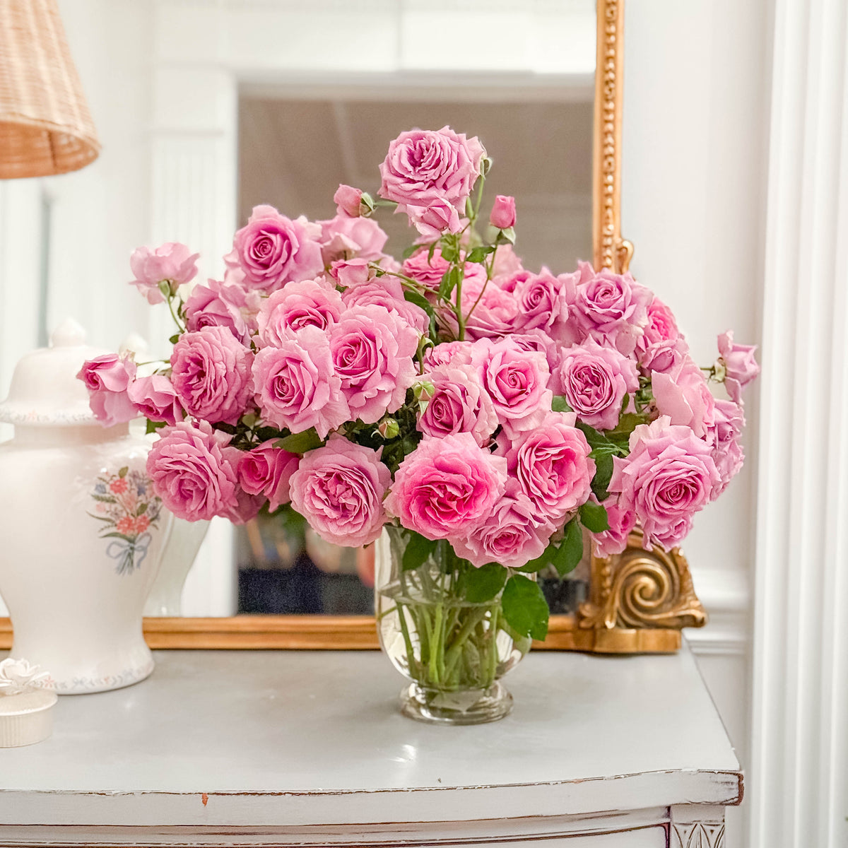 Violet's Pride™ Bare Root Tree Rose