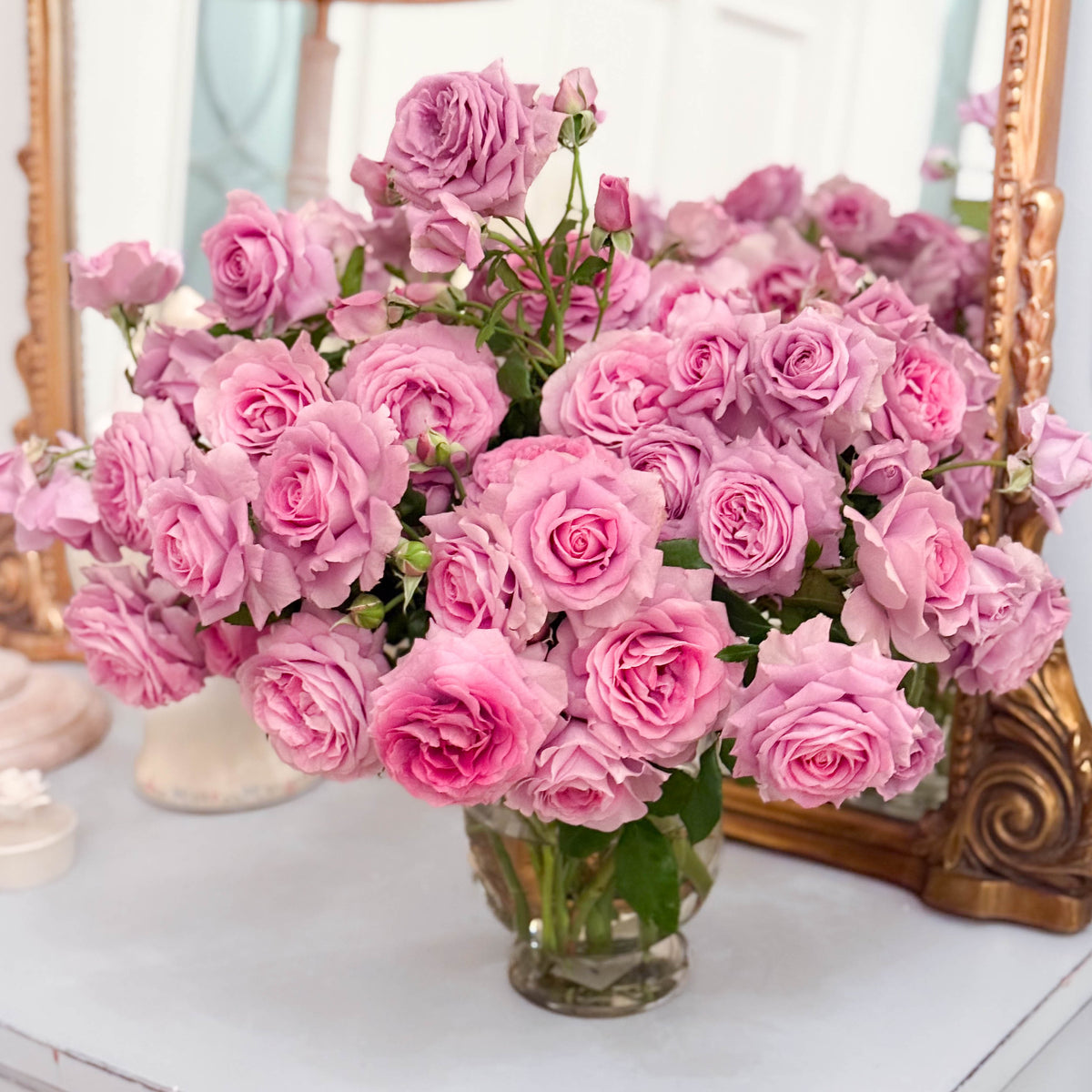 Violet's Pride™ Bare Root Tree Rose