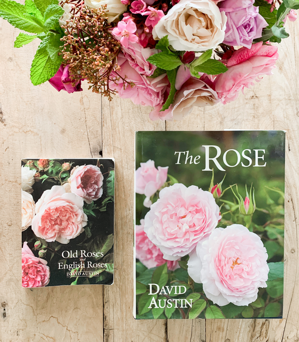 Top 10 Favorite Rose Books