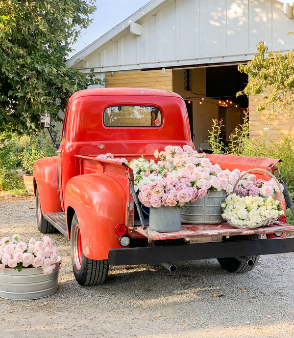 The Making of the Country Living Cover