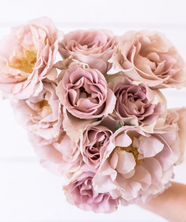 Garden Roses for Floral Designers