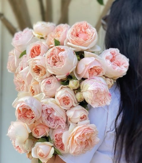 Beautiful Floral Books for Your Home - Grace Rose Farm