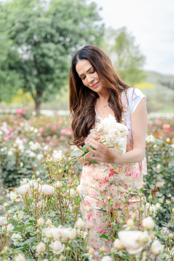 Gracie’s Better Bare Root - Grace Rose Farm