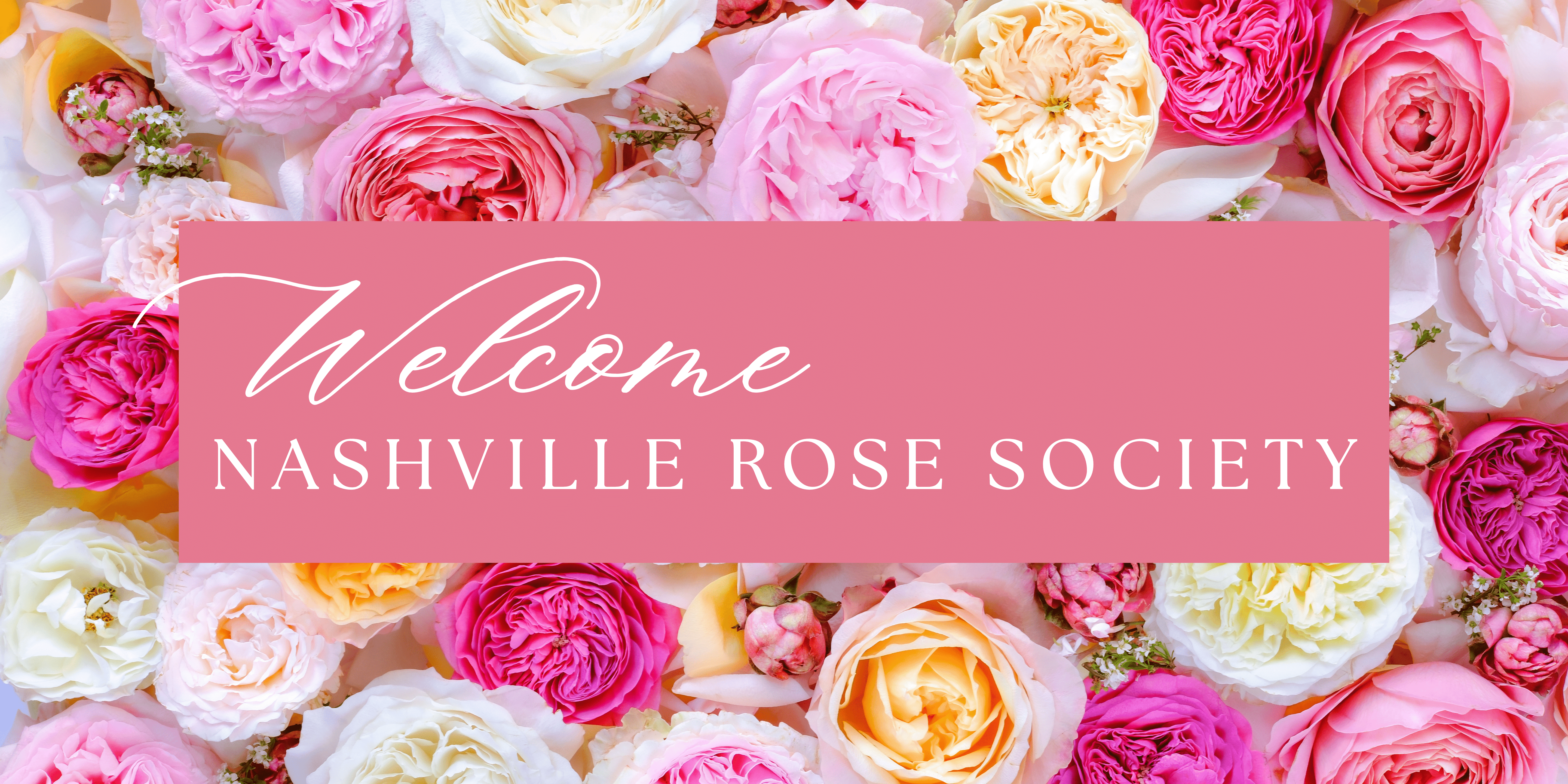 Nashville Rose Society - Grace Rose Farm