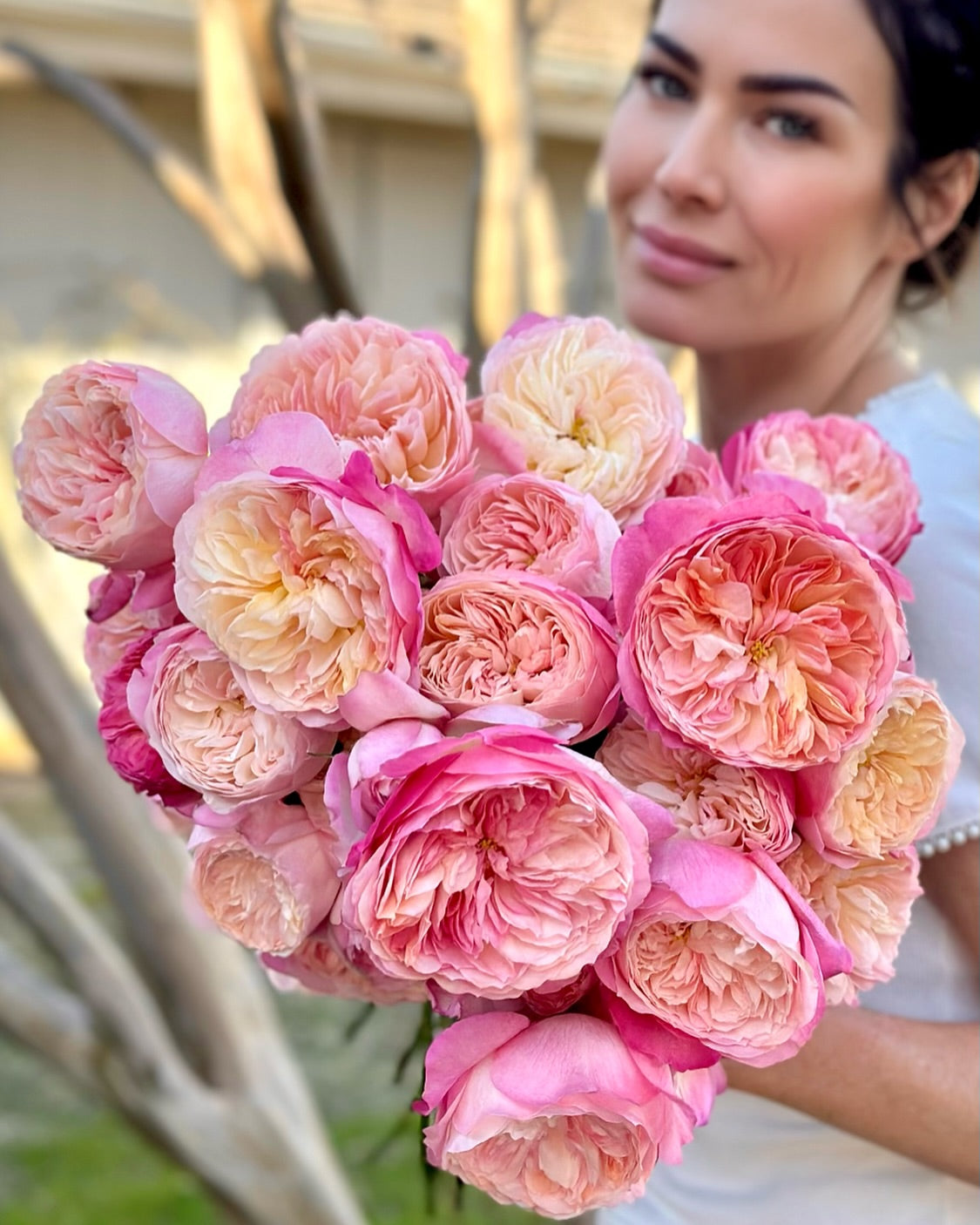 social post by gracerosefarm