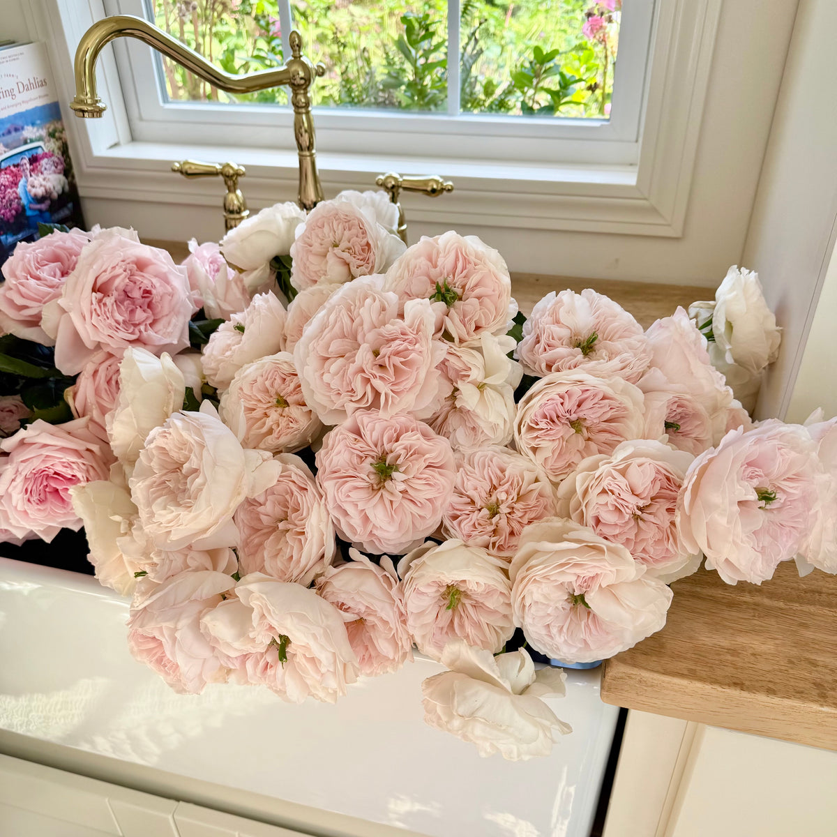 David Austin® Charity™ Bouquet