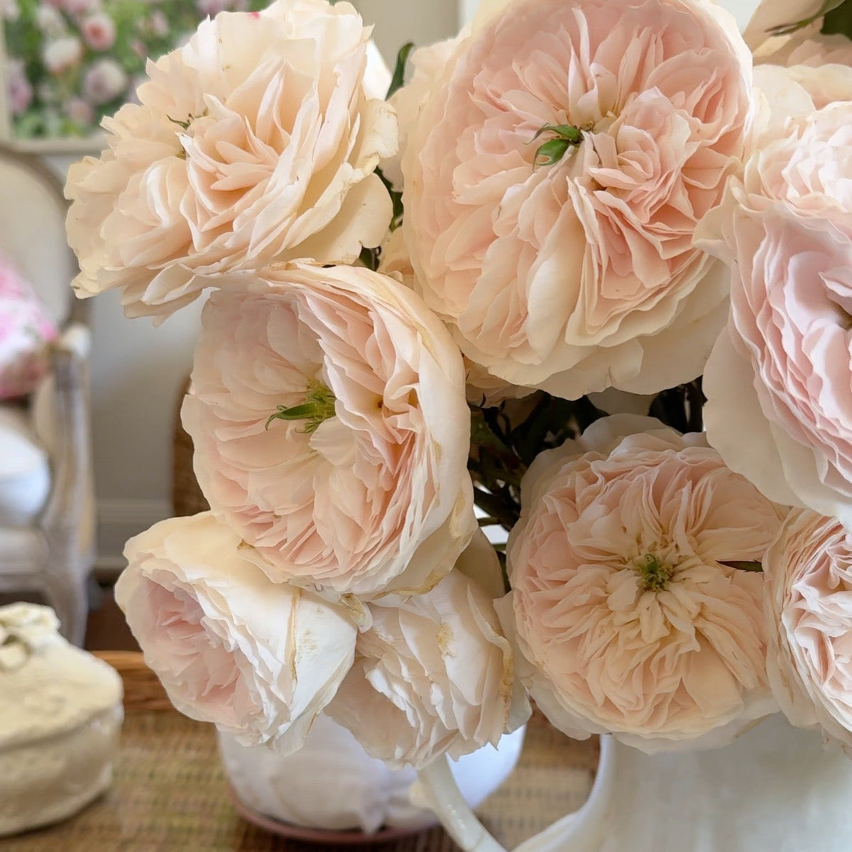 David Austin® Charity™ Bouquet