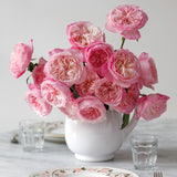 Constance™ Special Bouquet