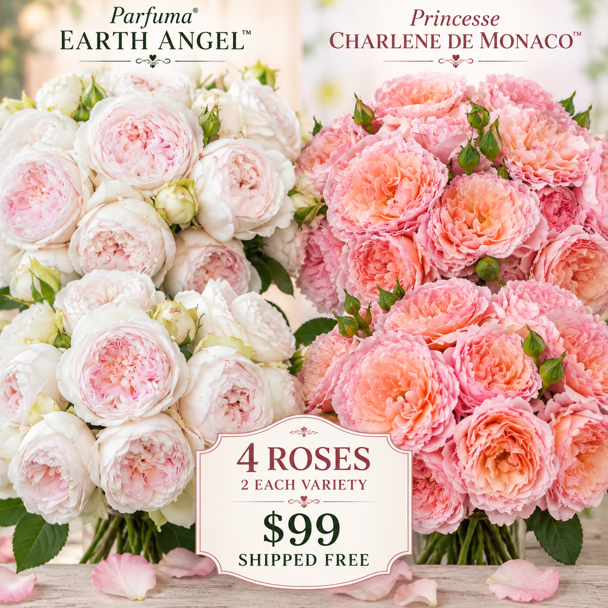 FLASH SALE - 4 PACK - 2 Parfuma® Earth Angel™ & 2 Princesse Charlene de Monaco™