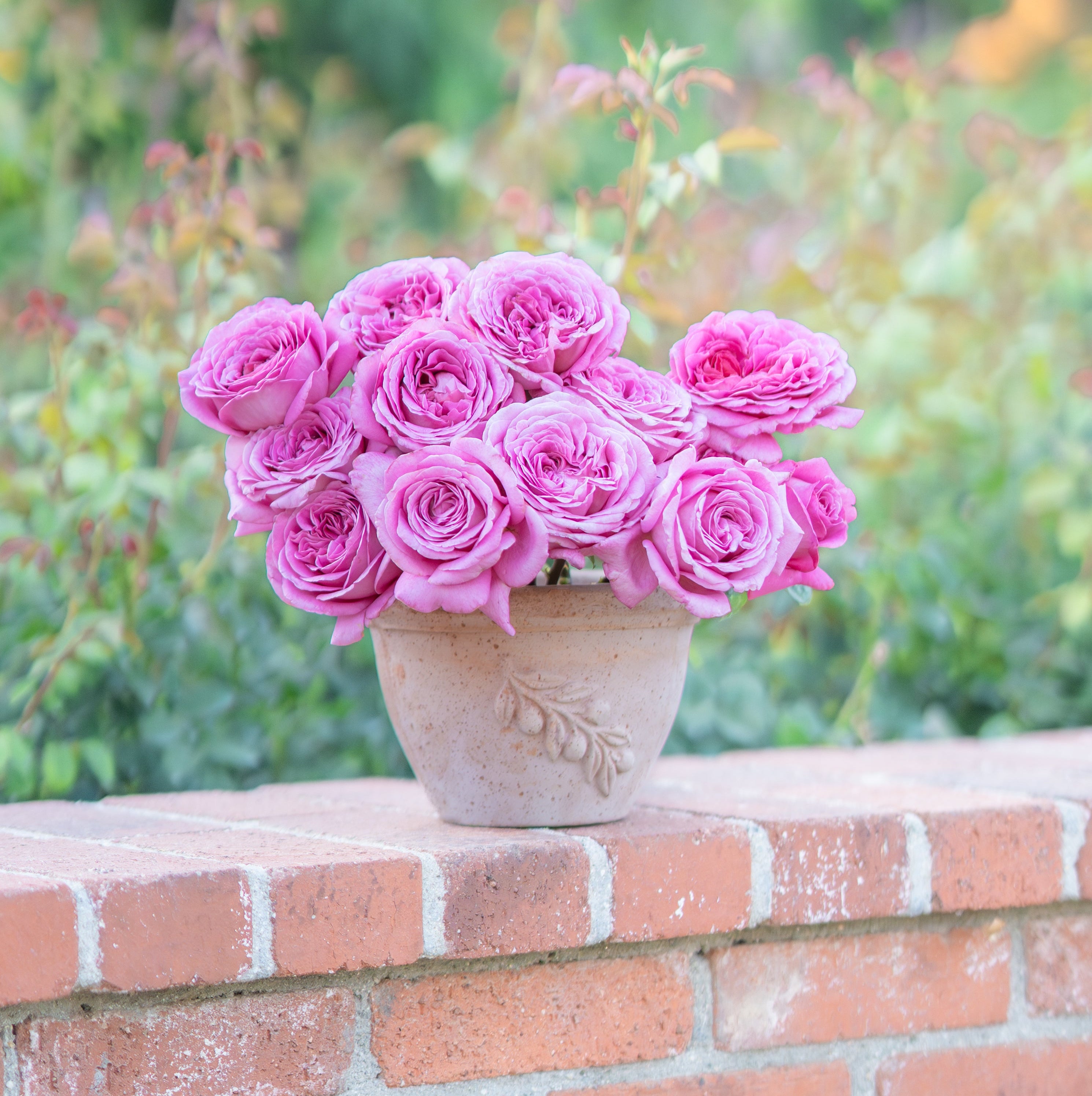 Pink roses in a vase on a brick wall with a garden background