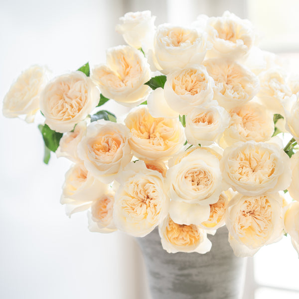 Aurora Gardens!® Special Bouquet