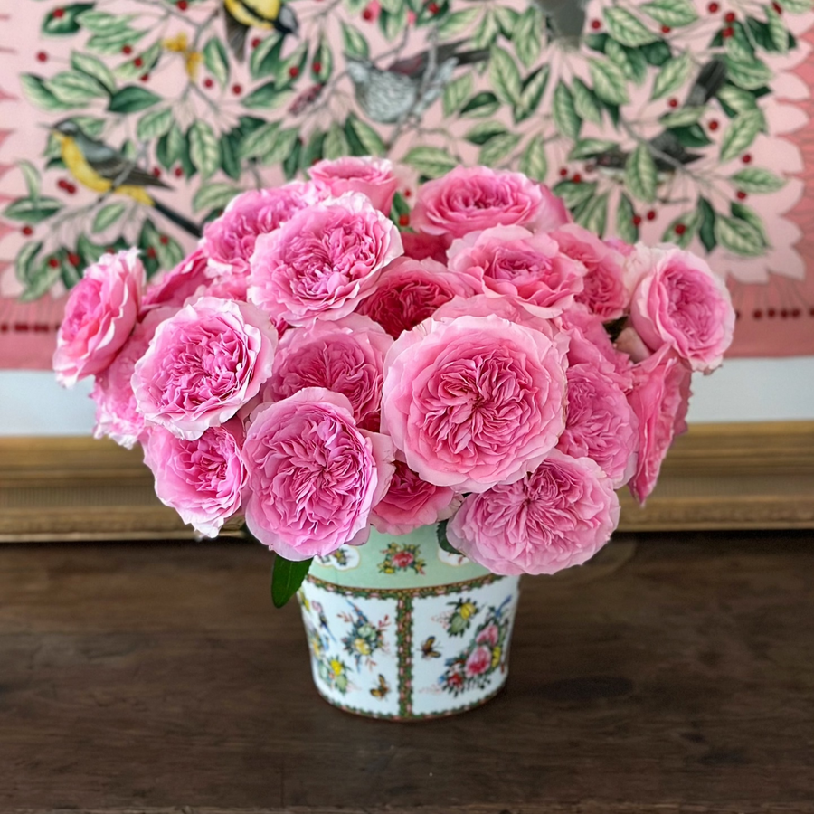 David Austin® Millicent™ Bouquet