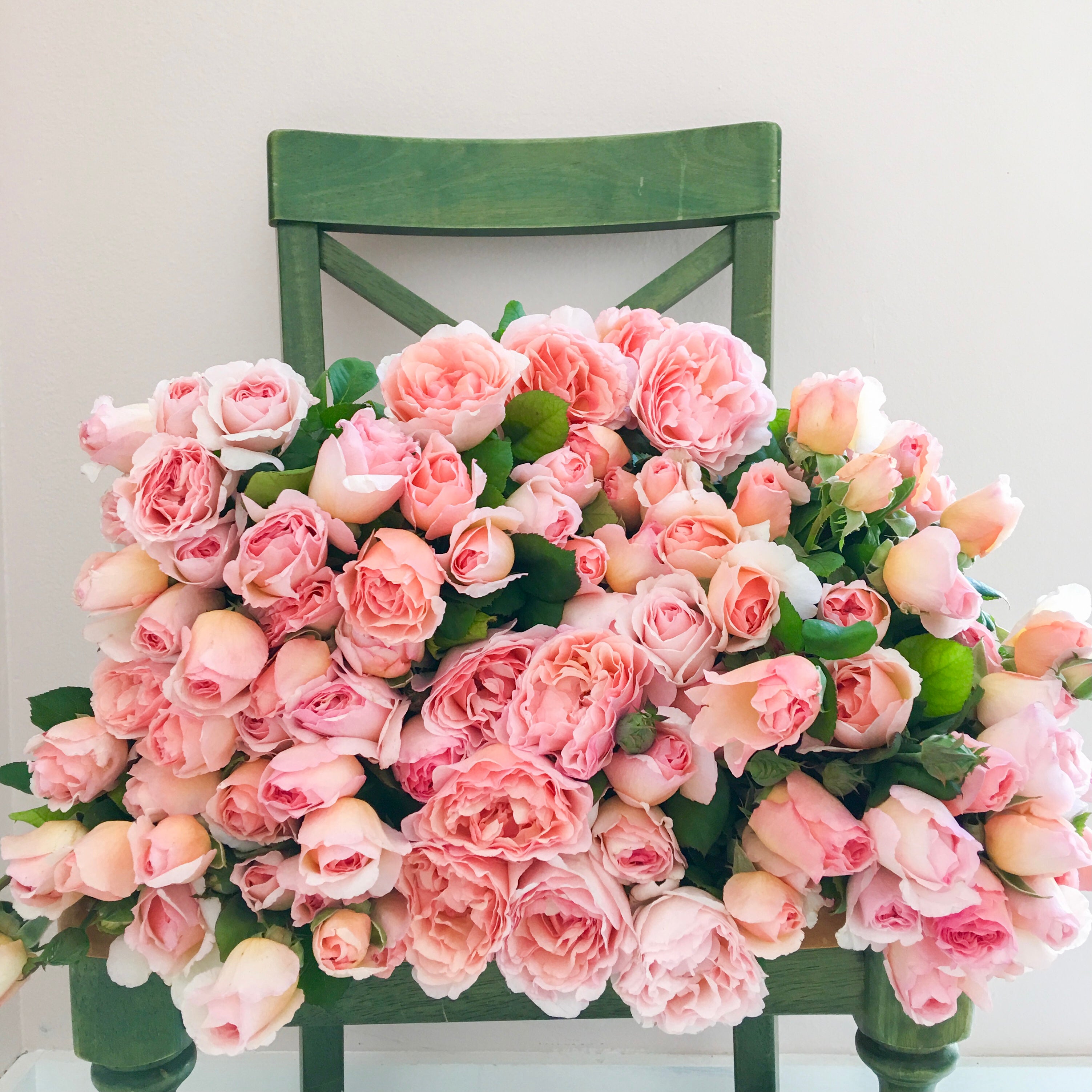 Princesse Charlene de Monaco® Bare Root Rose Bush