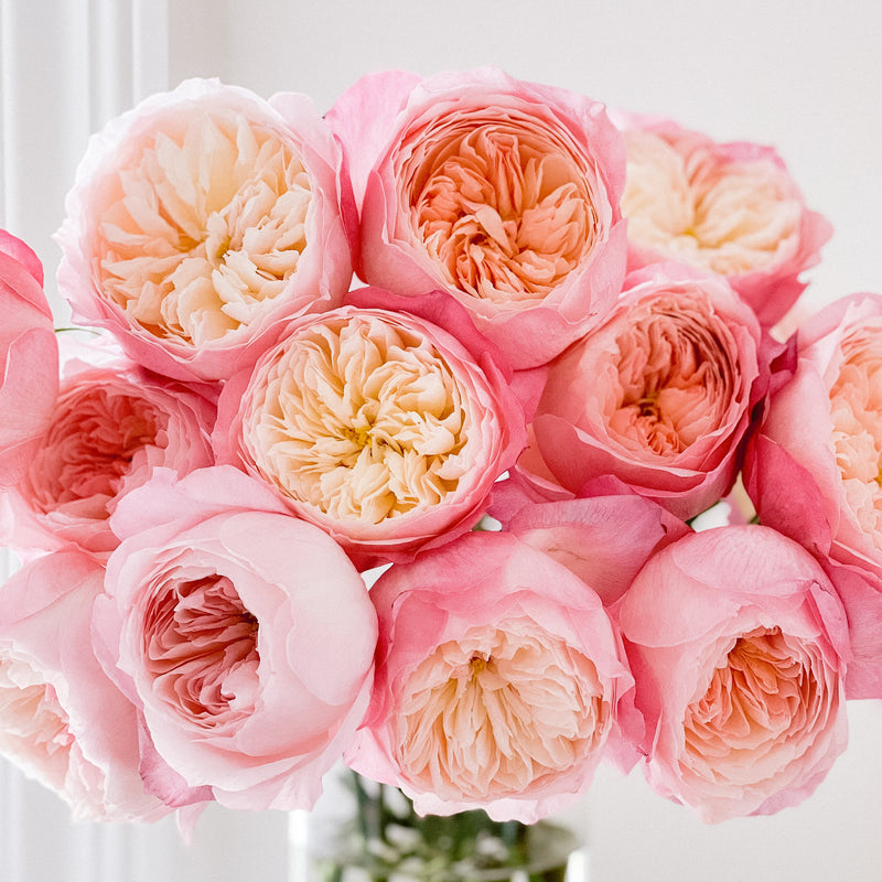 Constance™ Special Bouquet