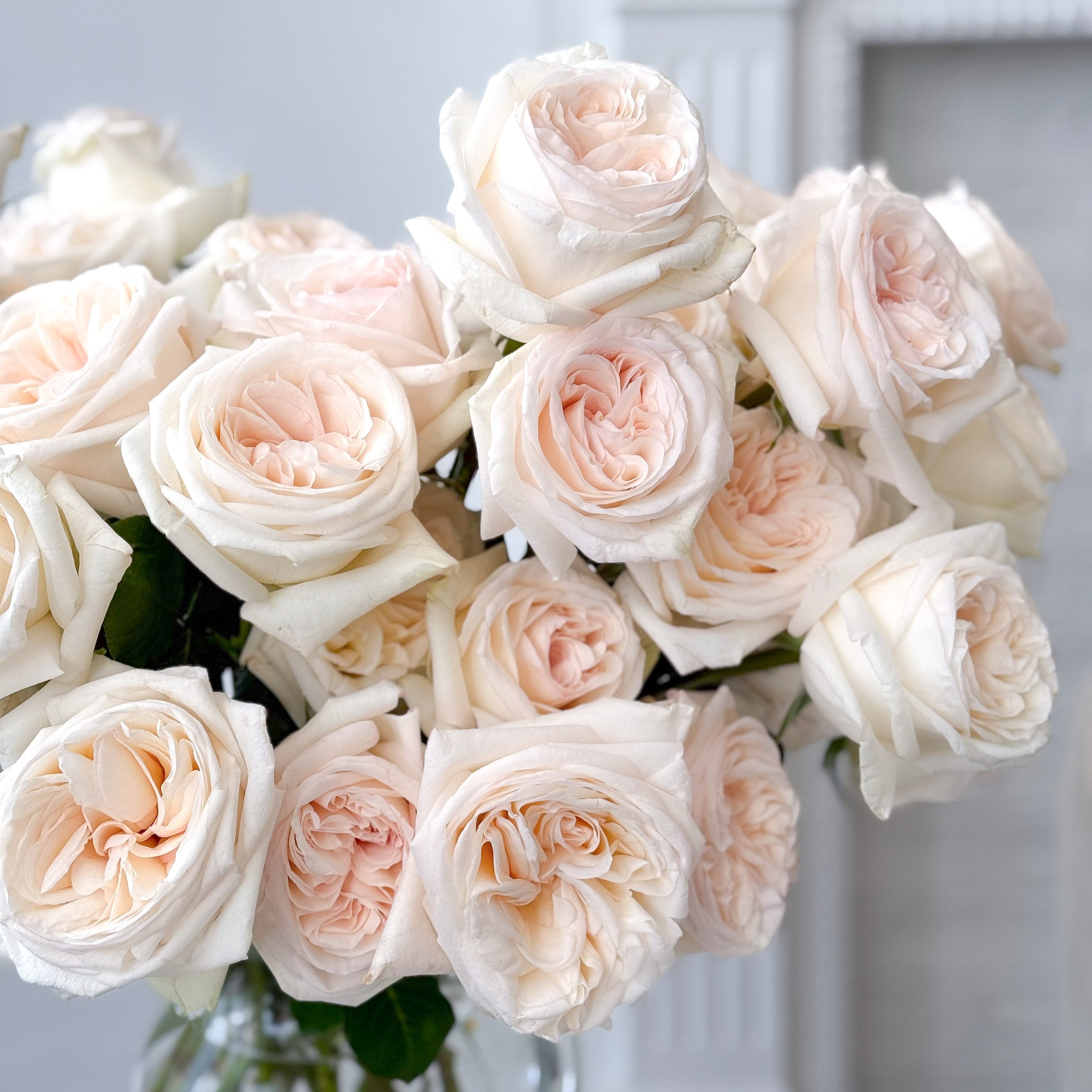 White O'Hara® Special Bouquet