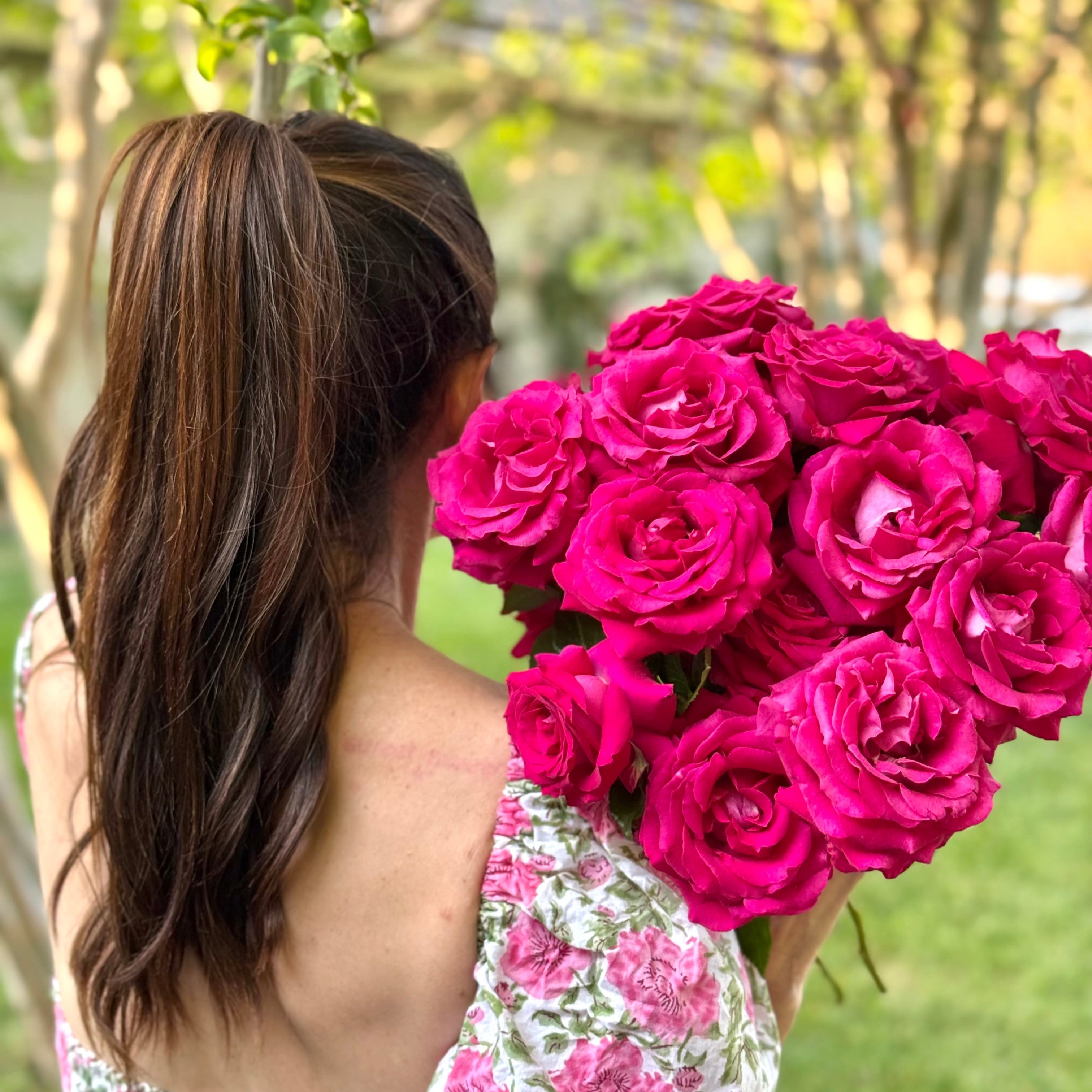 Stiletto™ Potted Tree Rose