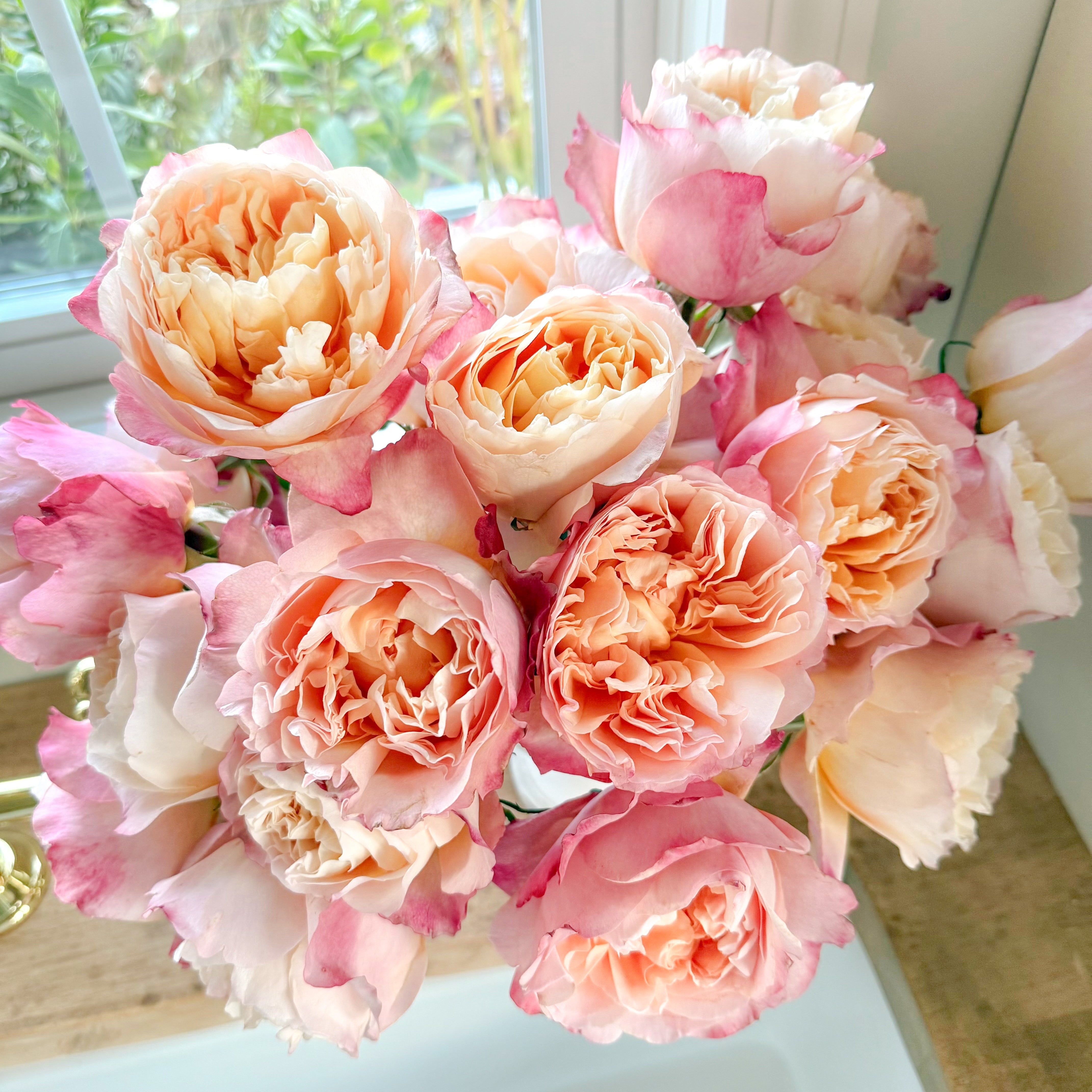 David Austin® Edith™ Bouquet