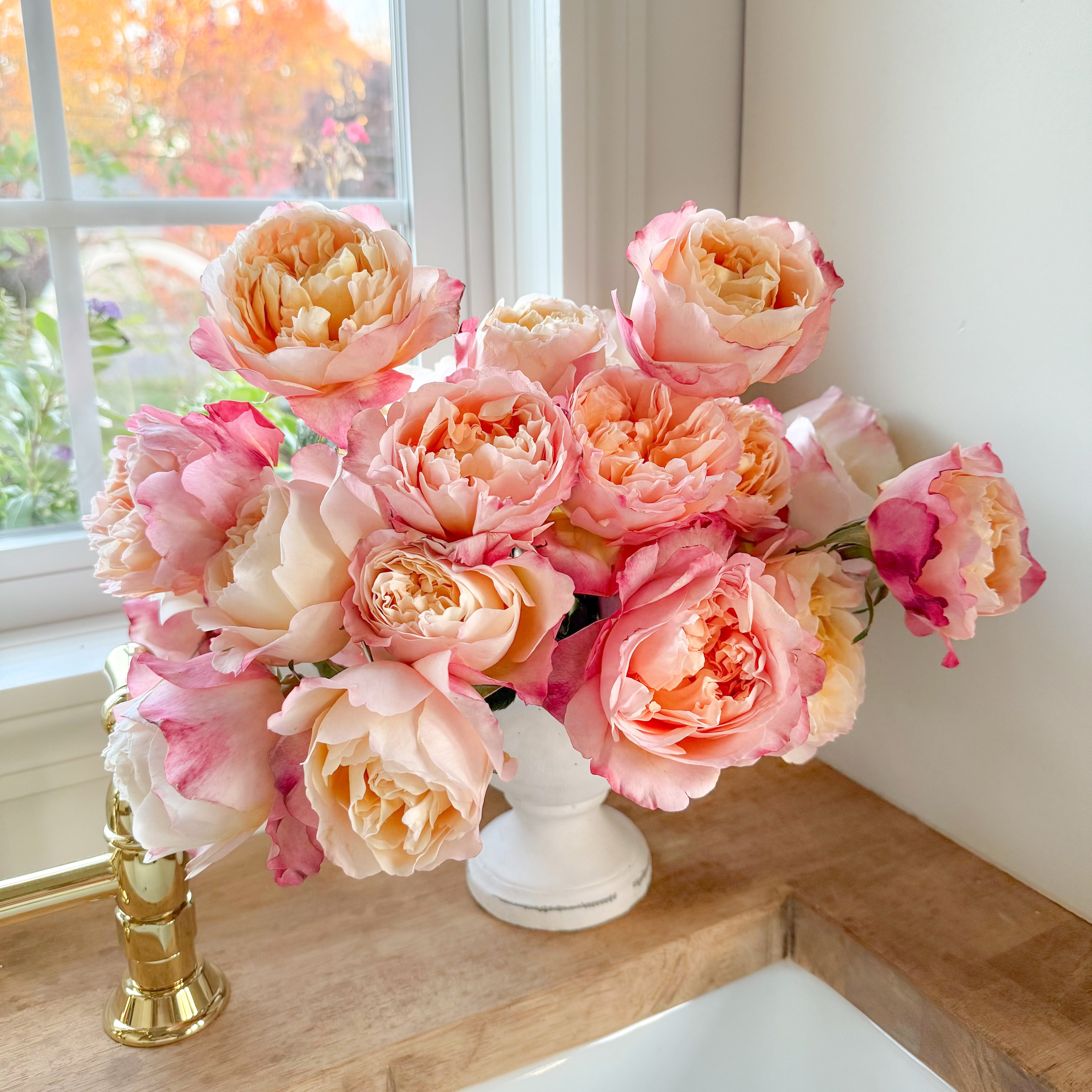 David Austin® Edith™ Bouquet