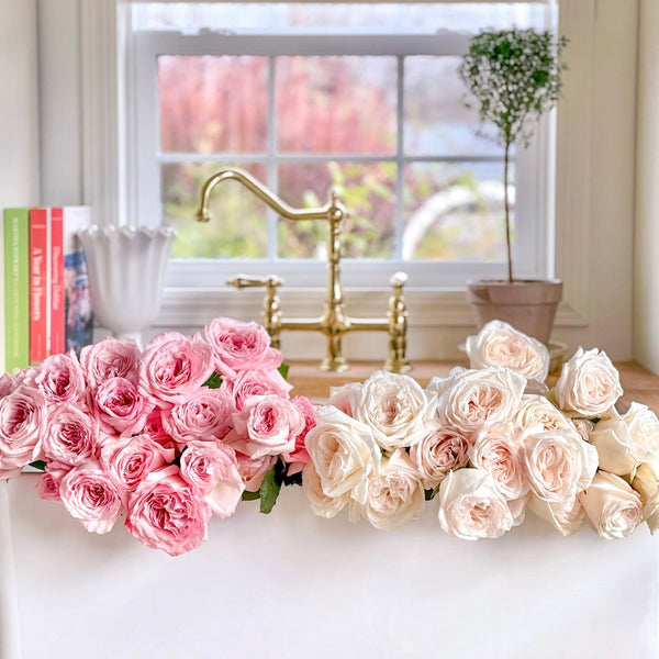 Jenny's O'Hara Rose Bundle