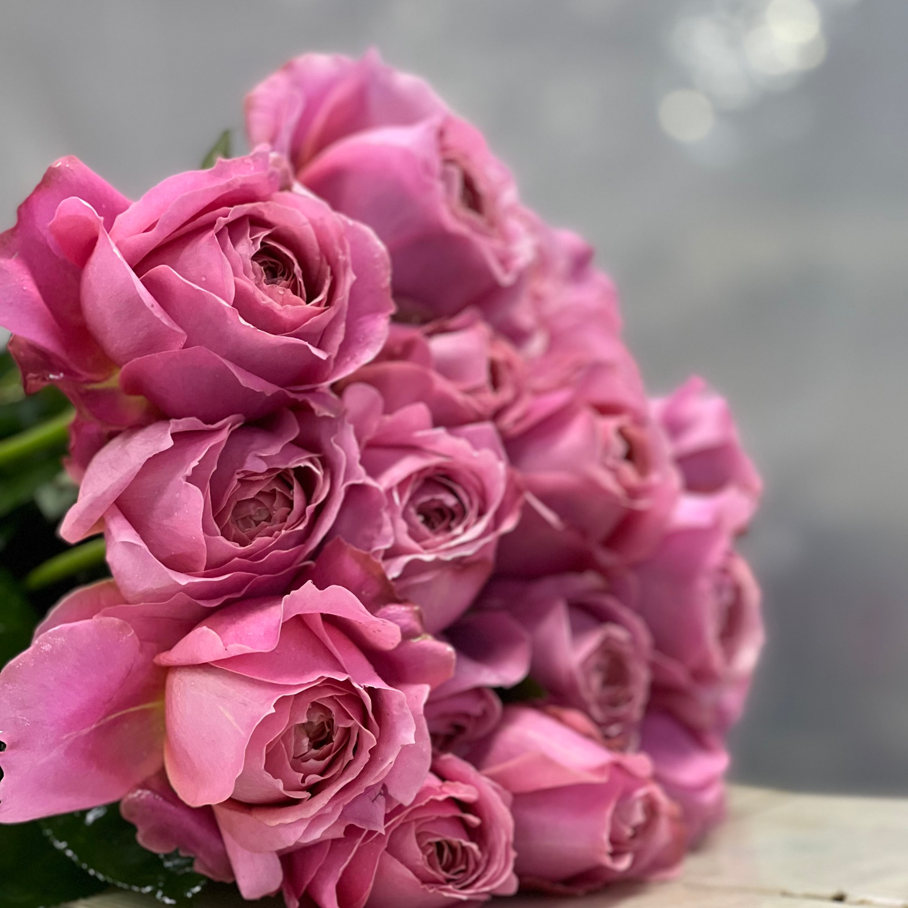 The Rose Immersion - A Colombian Floral Retreat at the World's Finest Rose Farm (Deposit)