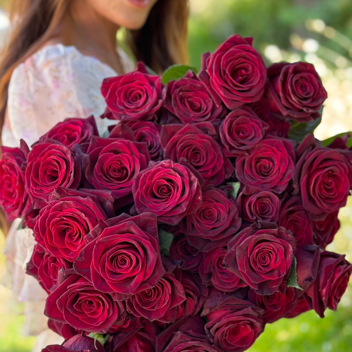 Black Baccara® 36" Tree Rose Bush