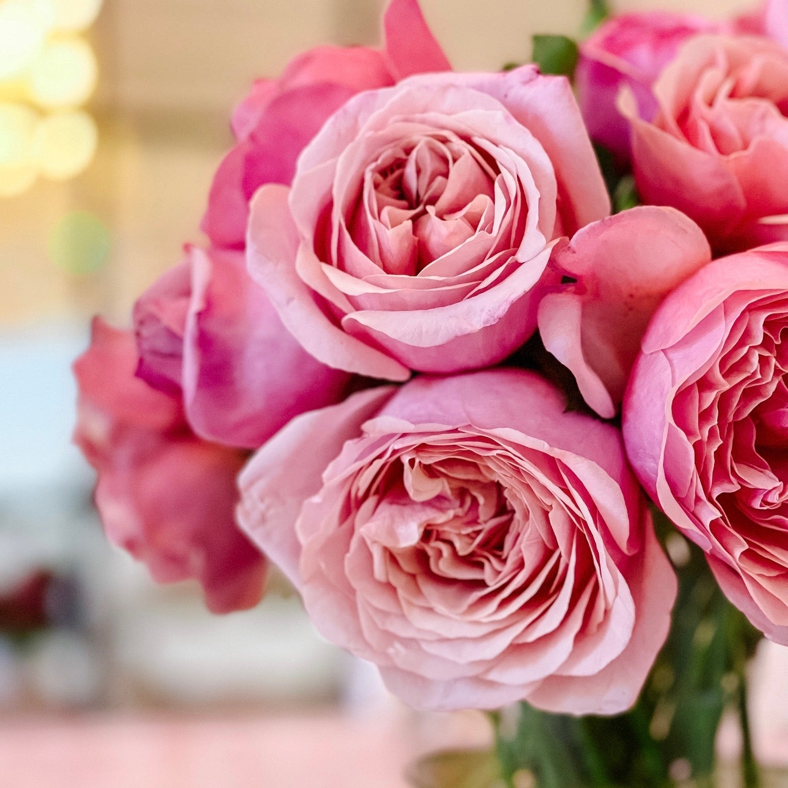 Queen Of Elegance™ Potted Tree Rose