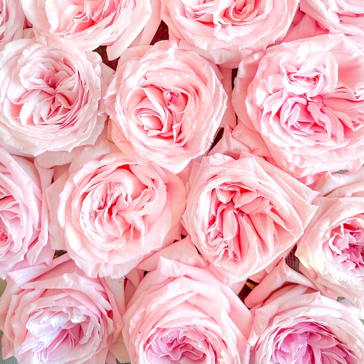 Pink O'Hara® Bouquet