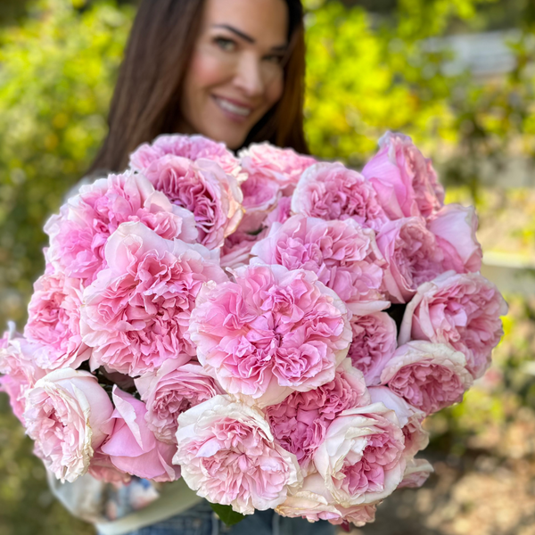 David Austin® Miranda™ Bouquet