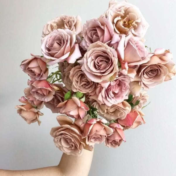 Koko Loko™ Potted Tree Rose