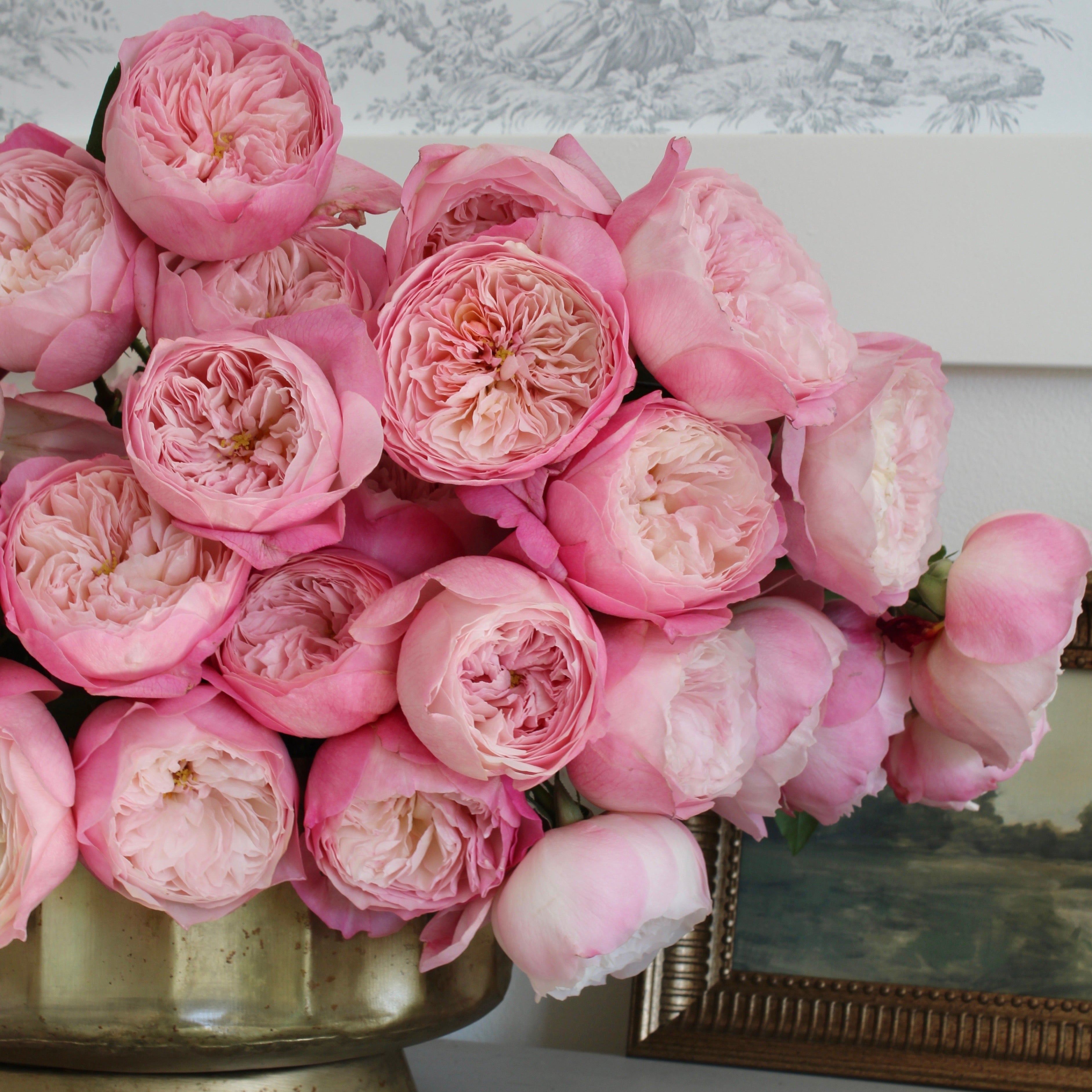 David Austin® Constance™ Bouquet