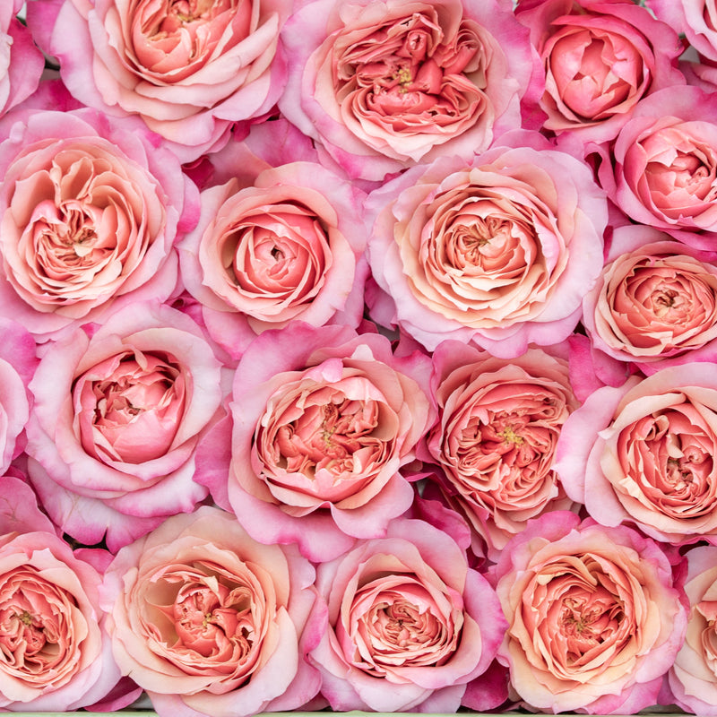 Miyabi™ Special Bouquet