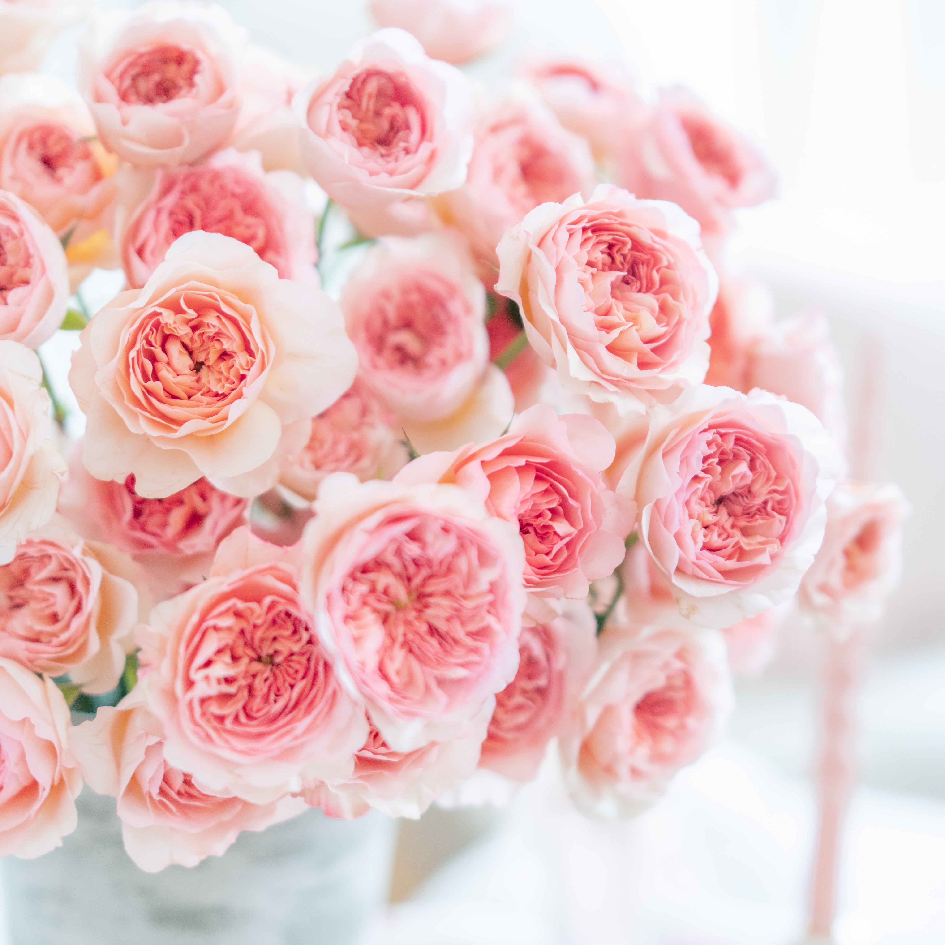 Phoebe™ Special Bouquet