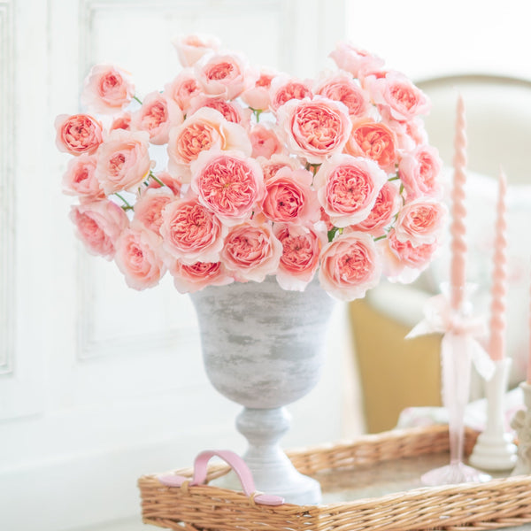 David Austin® Phoebe™ Bouquet