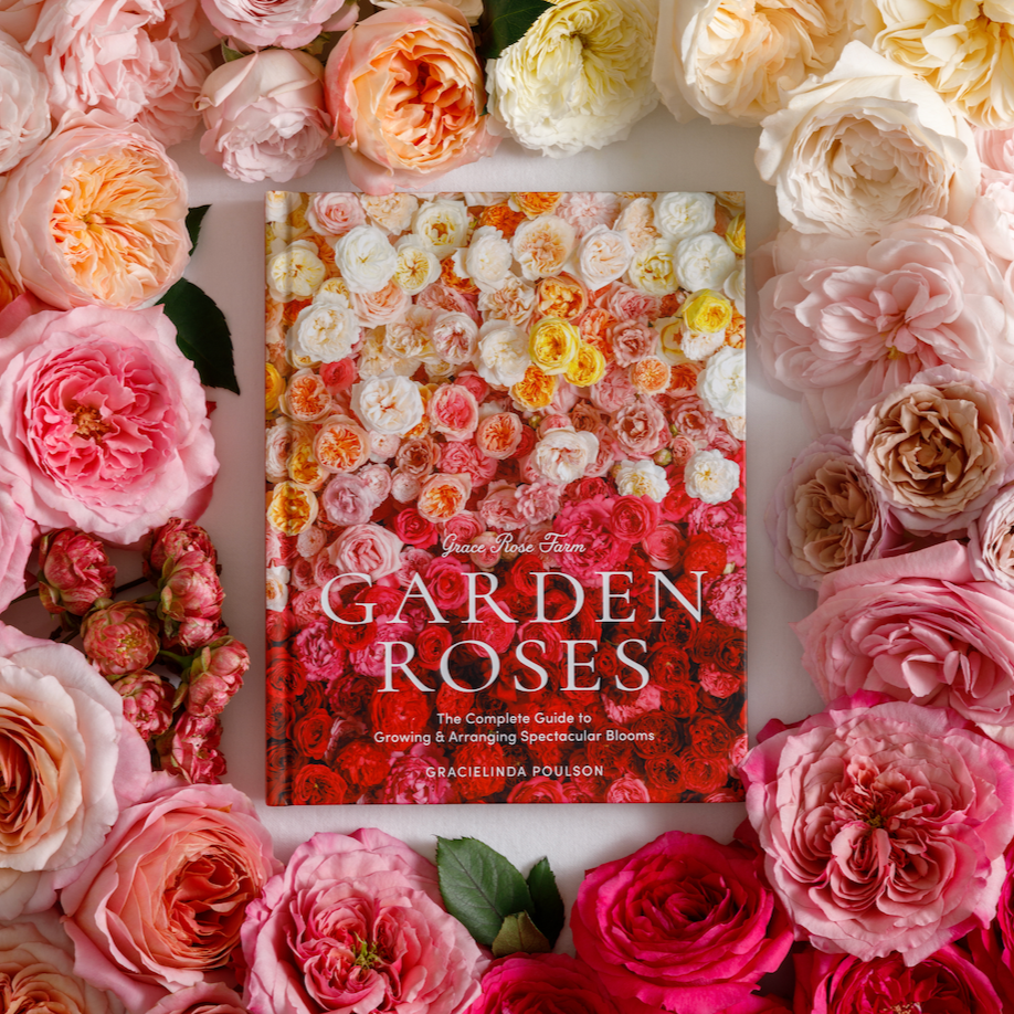 GARDEN ROSES: The Complete Guide to Growing & Arranging Spectacular Blooms *Signed Copy*