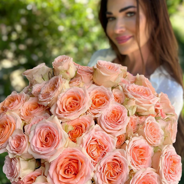Rosanella Rose Bush