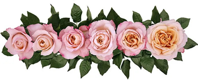 Miyabi Cha™ Special Bouquet