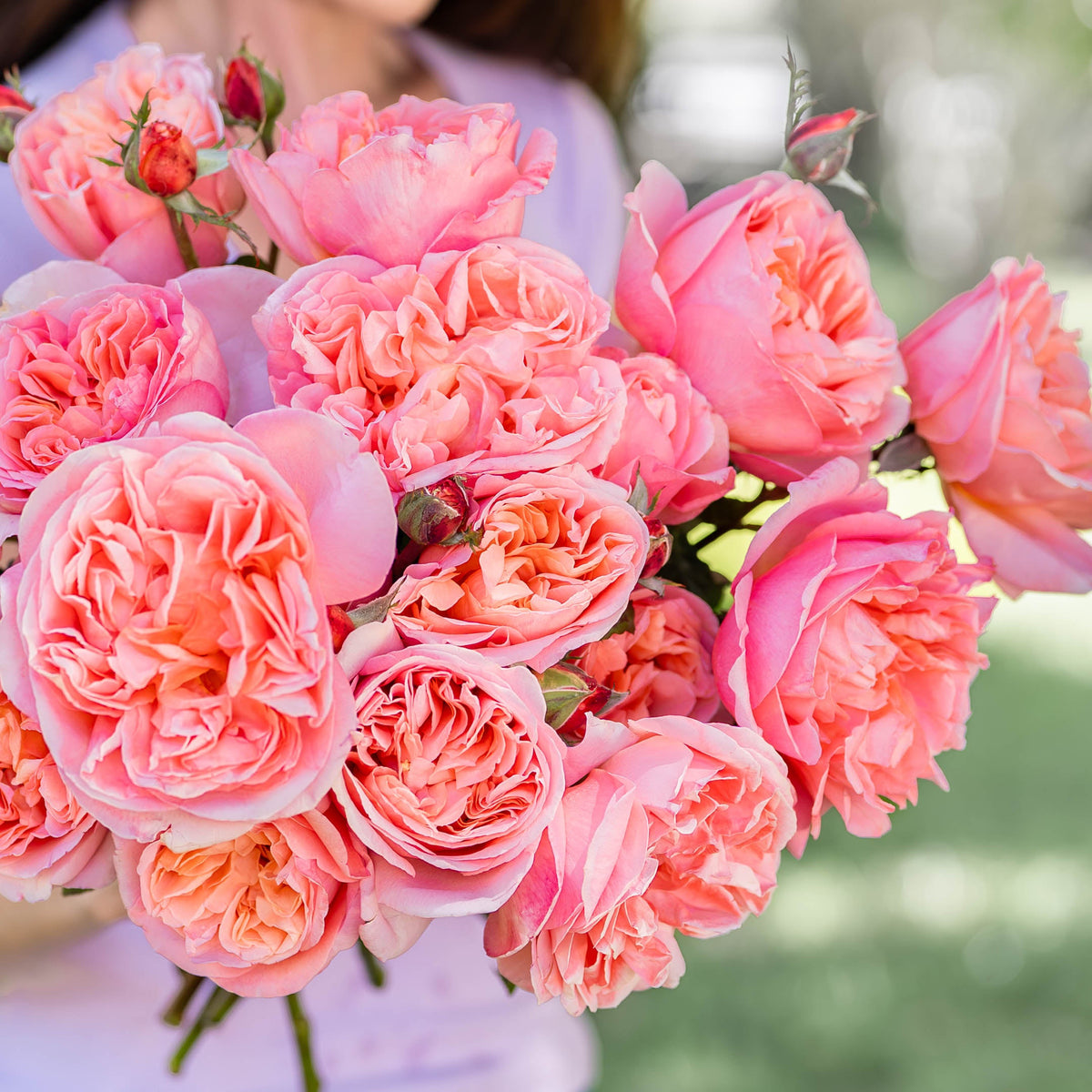 Sweet Mademoiselle™ & Garden Friends