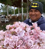 Stainless Steel Rose Bush