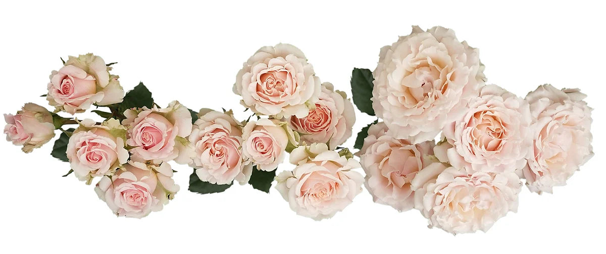 Wedding Rosever® Special Bouquet
