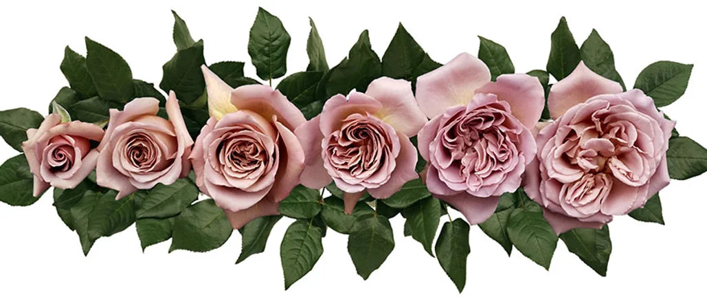 Cafe Latte® Special Bouquet