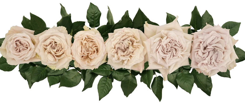 Westminster Abbey® Bouquet