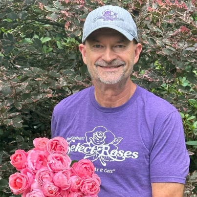 William P.J. McCarthy Bare Root Rose Bush