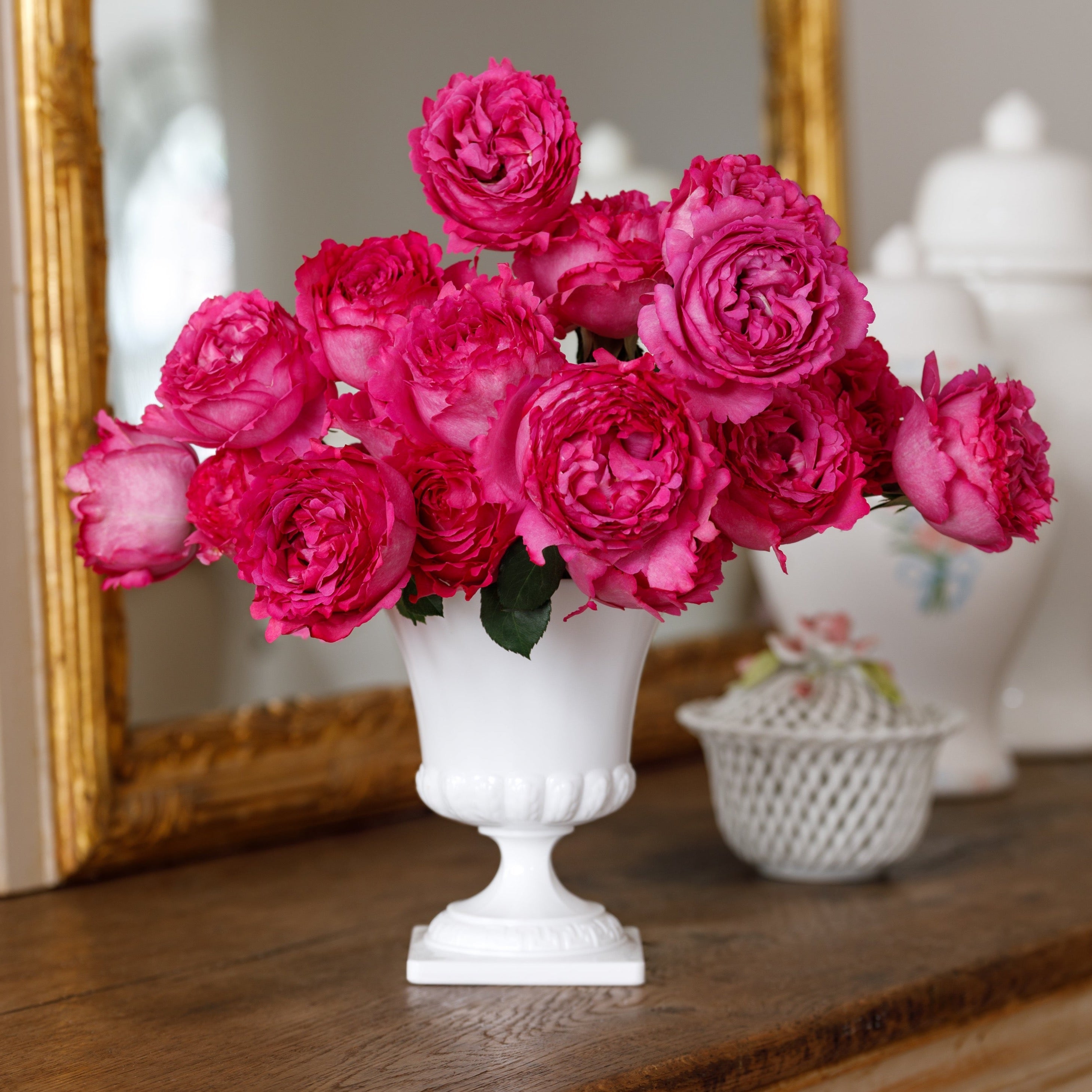 Yves Piaget®   Bare Root Rose Bush