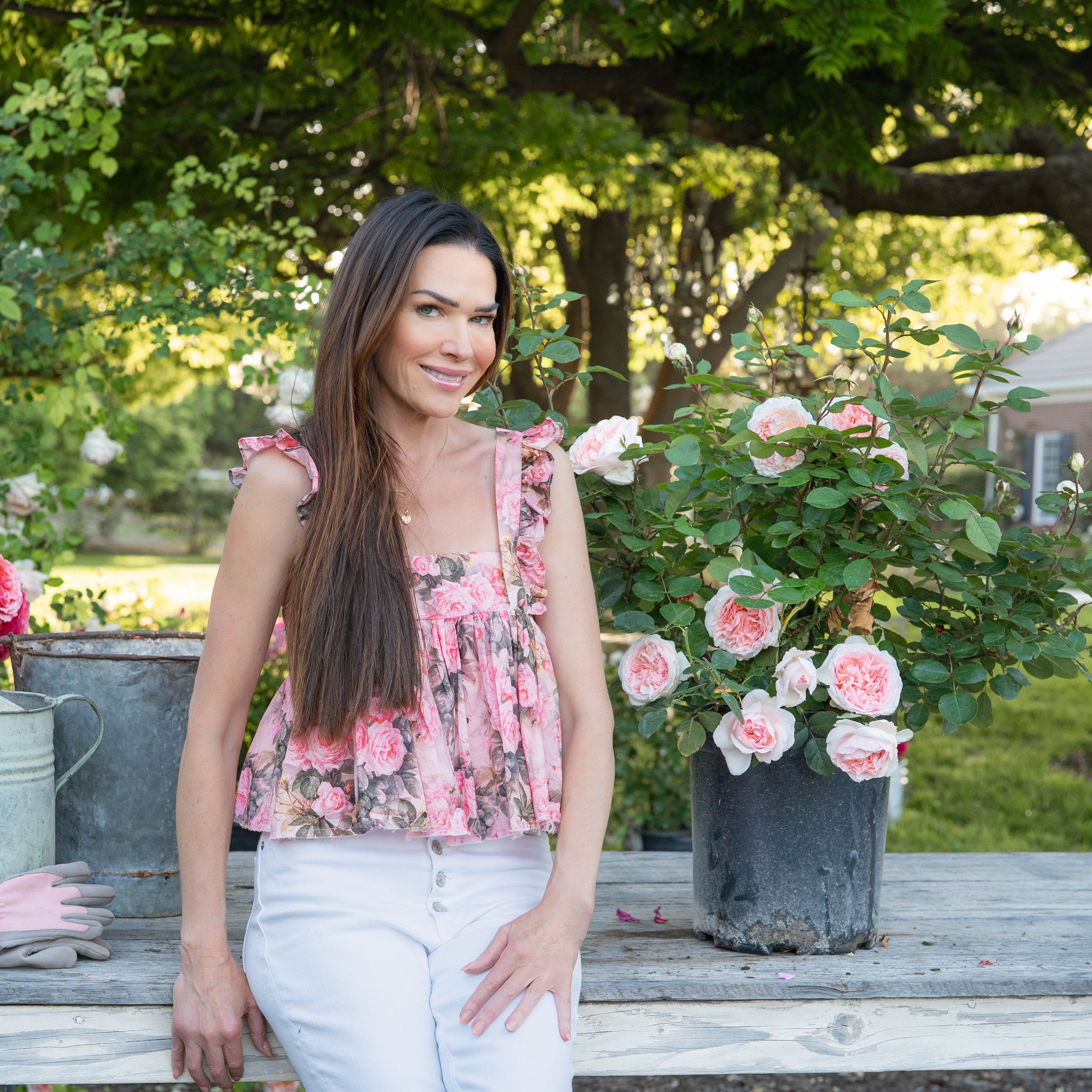 Parfuma® Bliss  Bare Root Rose Bush