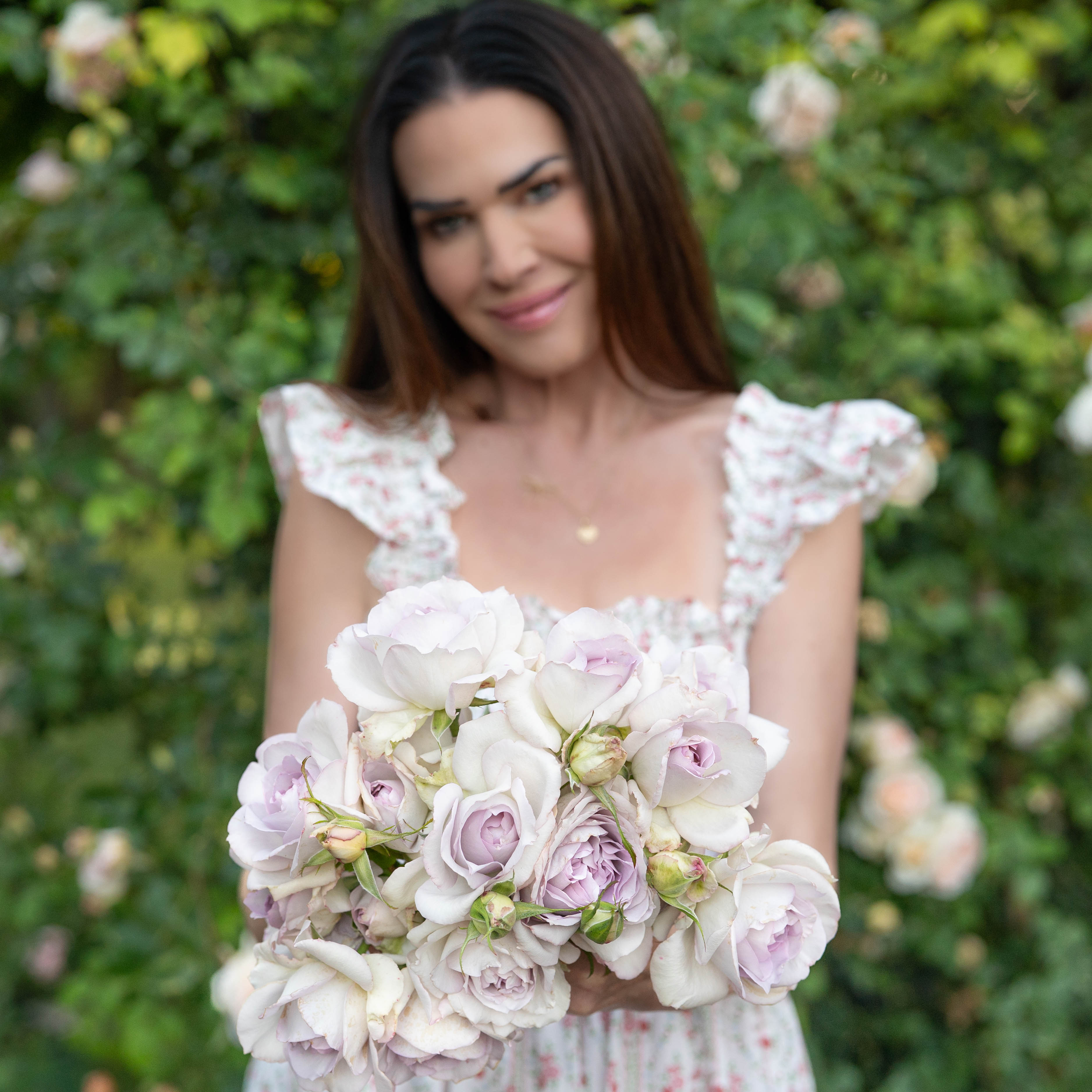 Blue Girl Potted Rose Bush
