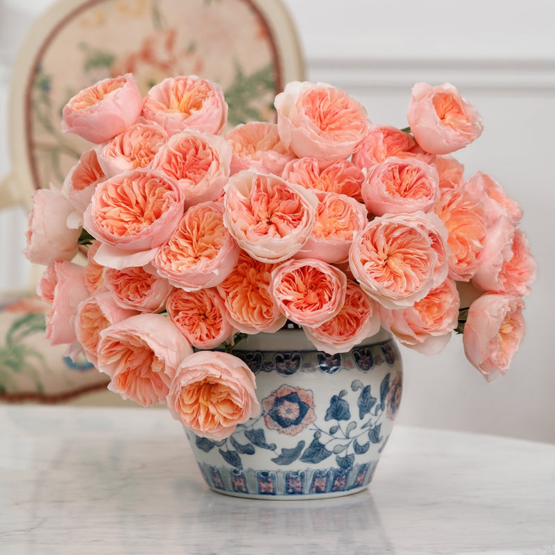 Juliet™ Special Bouquet