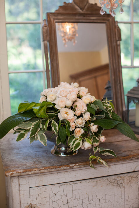 Easy Elegance® Champagne Wishes Bare Root Rose Bush