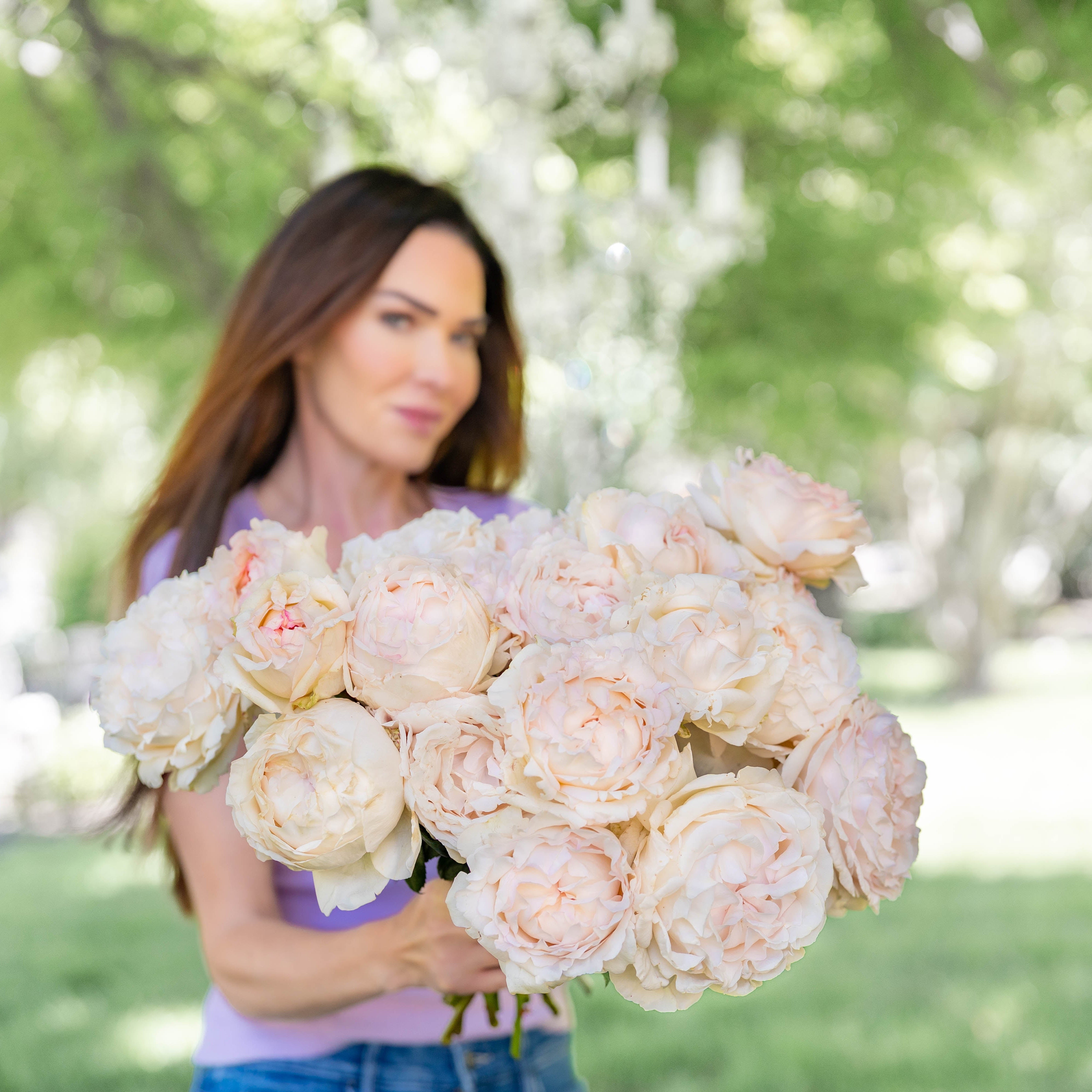 Classic Woman™ Bare Root Rose Bush