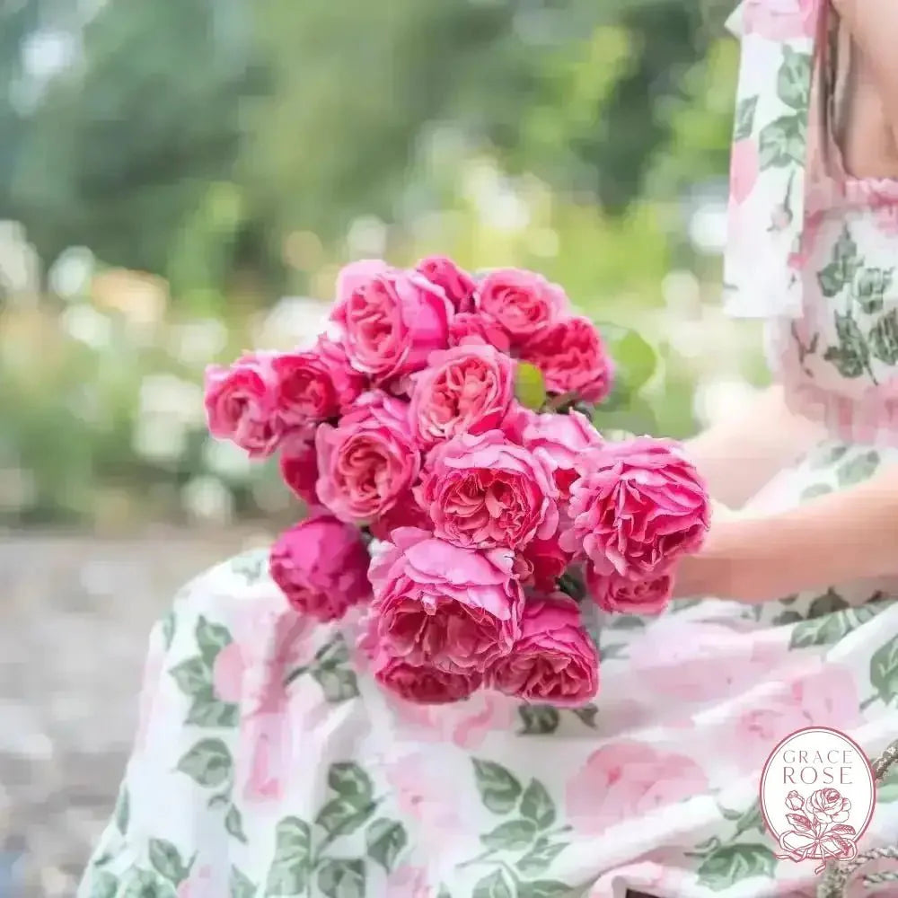 Dee-Lish® Bare Root Tree Rose